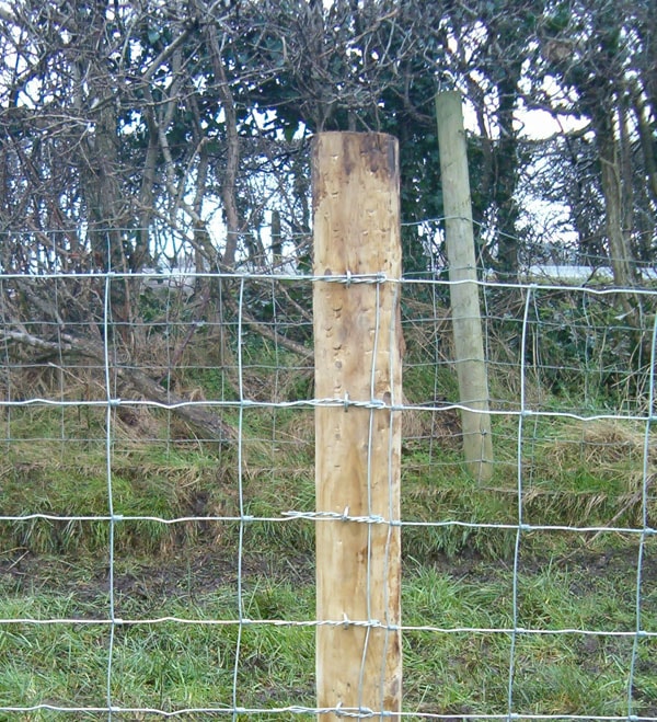 Fence wire clearance twister